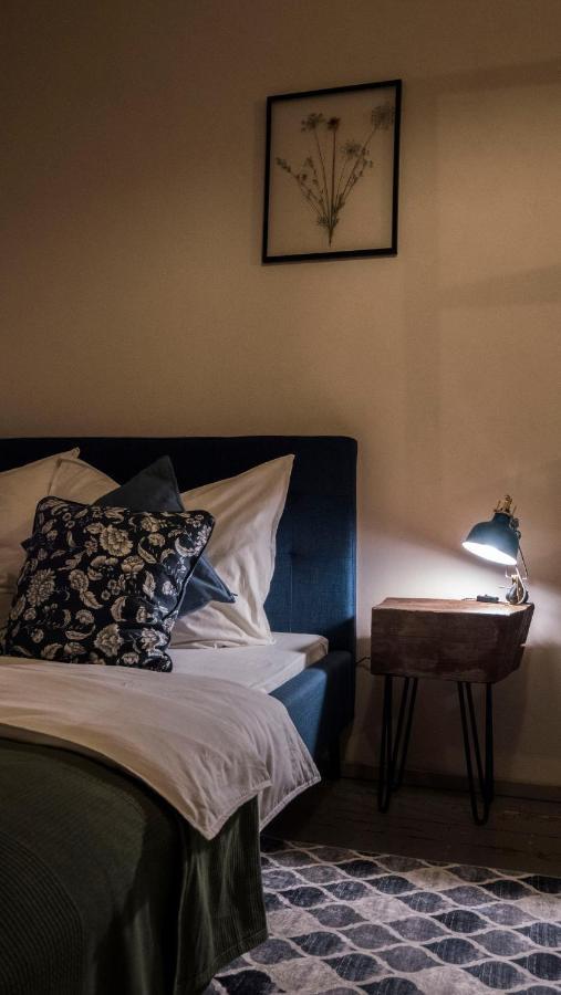 Lazensky Apartman Leilighet Karlovy Vary Eksteriør bilde